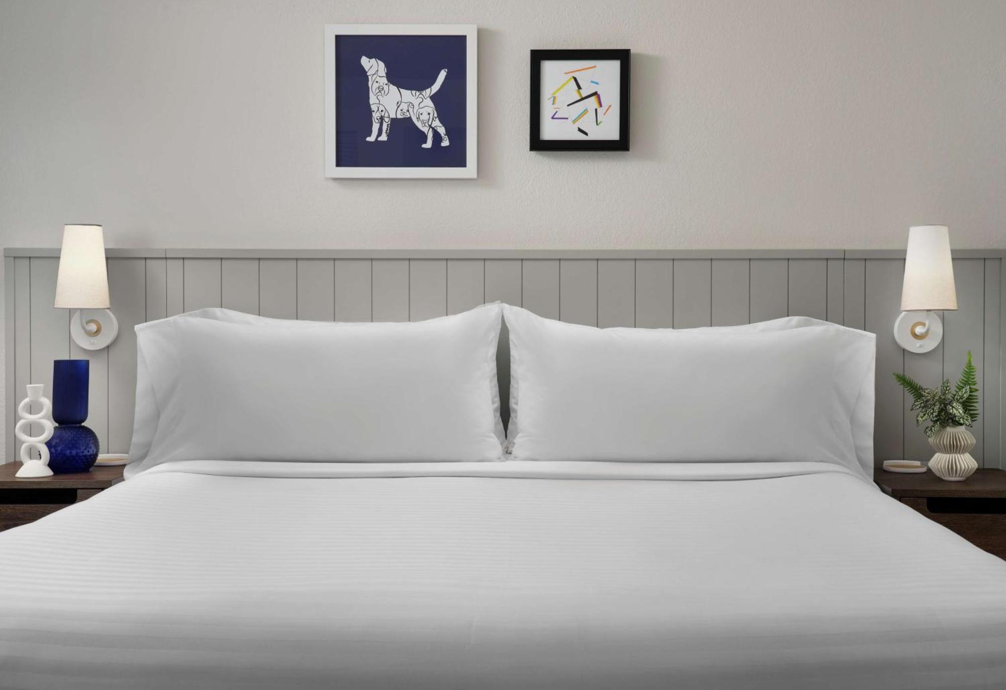 Hotel Sonesta Es 3*