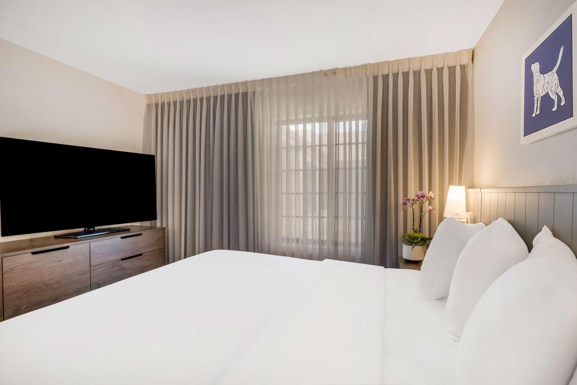 Sonesta Es Hotel Sunnyvale